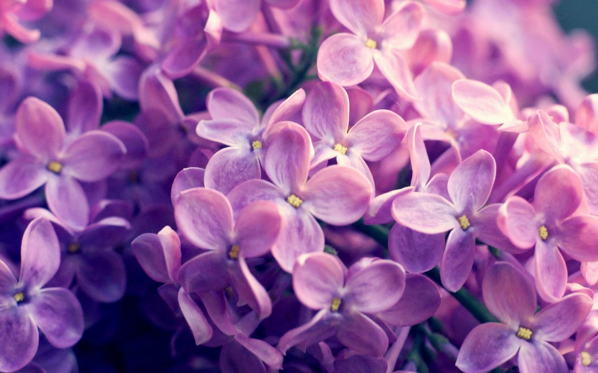 巅峰十二小时,当诺伊尔扑出点球时,哈登投出了那记三分