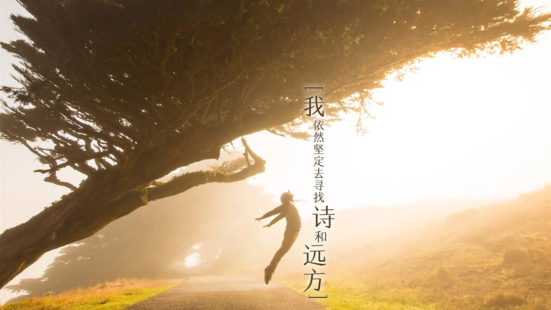 封神之夜，灰熊逆天改命之战，莫兰特47分血洗鹈鹕叩开争冠之门