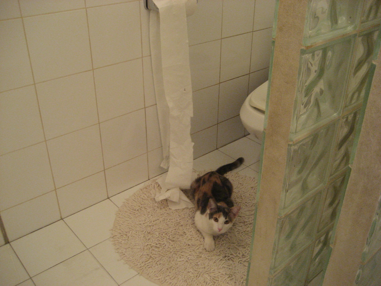 足球之神的传承，2026世界杯之夜，穆勒跨越时空的加冕