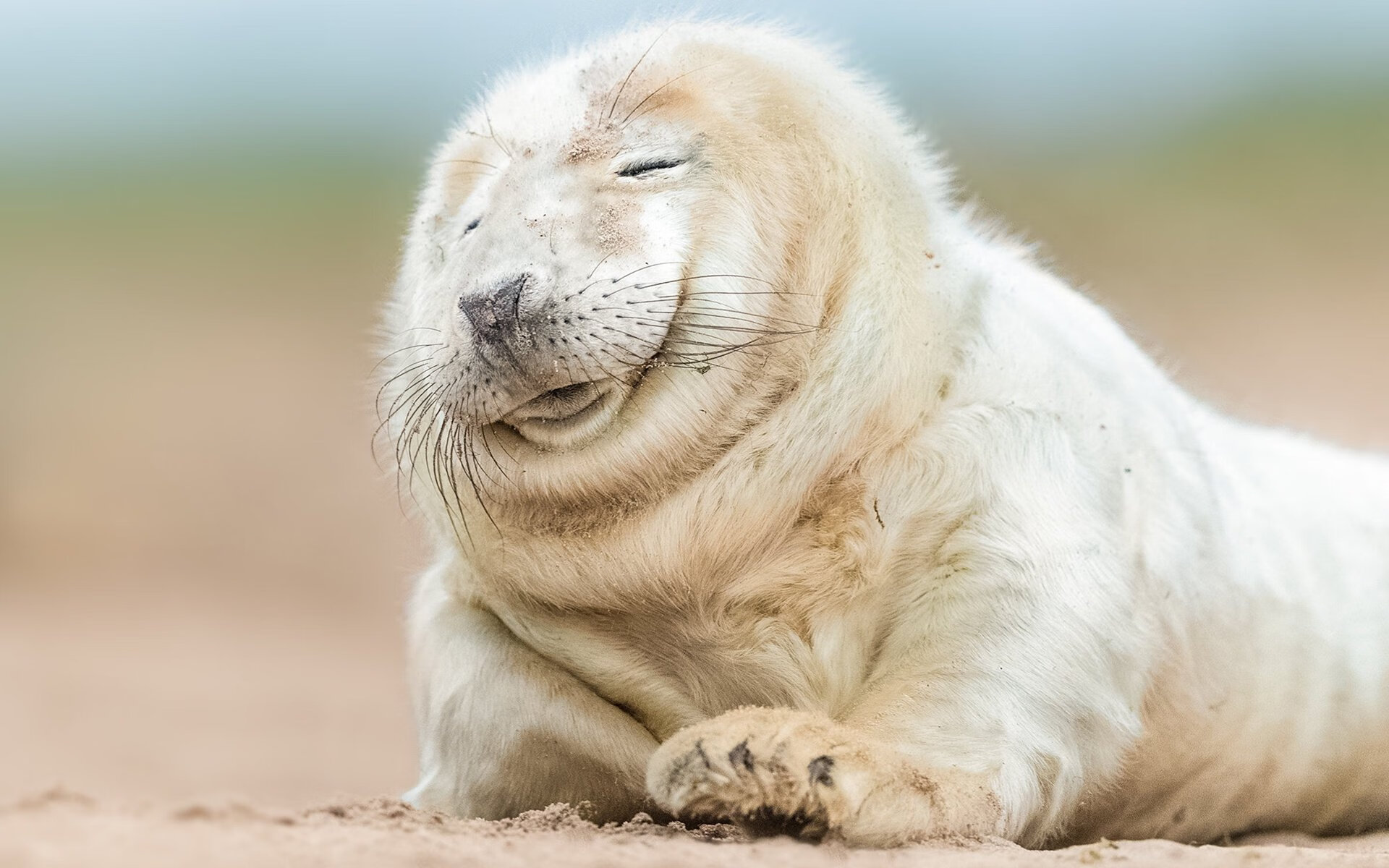 偶然与必然，若日尼奥的勒沃库森之夜