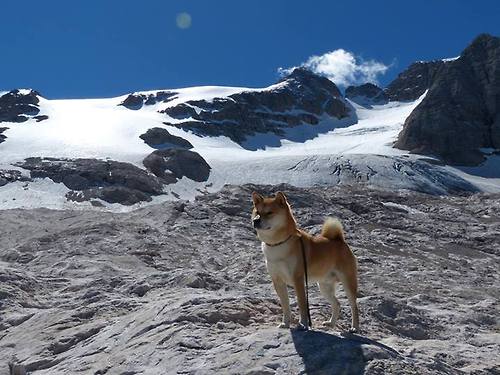 日本使节在元老院拔刀,莫德里奇在伯纳乌起舞
