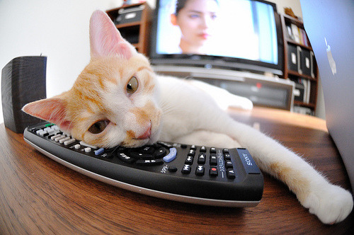 当东方铁壁遭遇西方魔法，欧文用一双球鞋丈量两个世界的距离