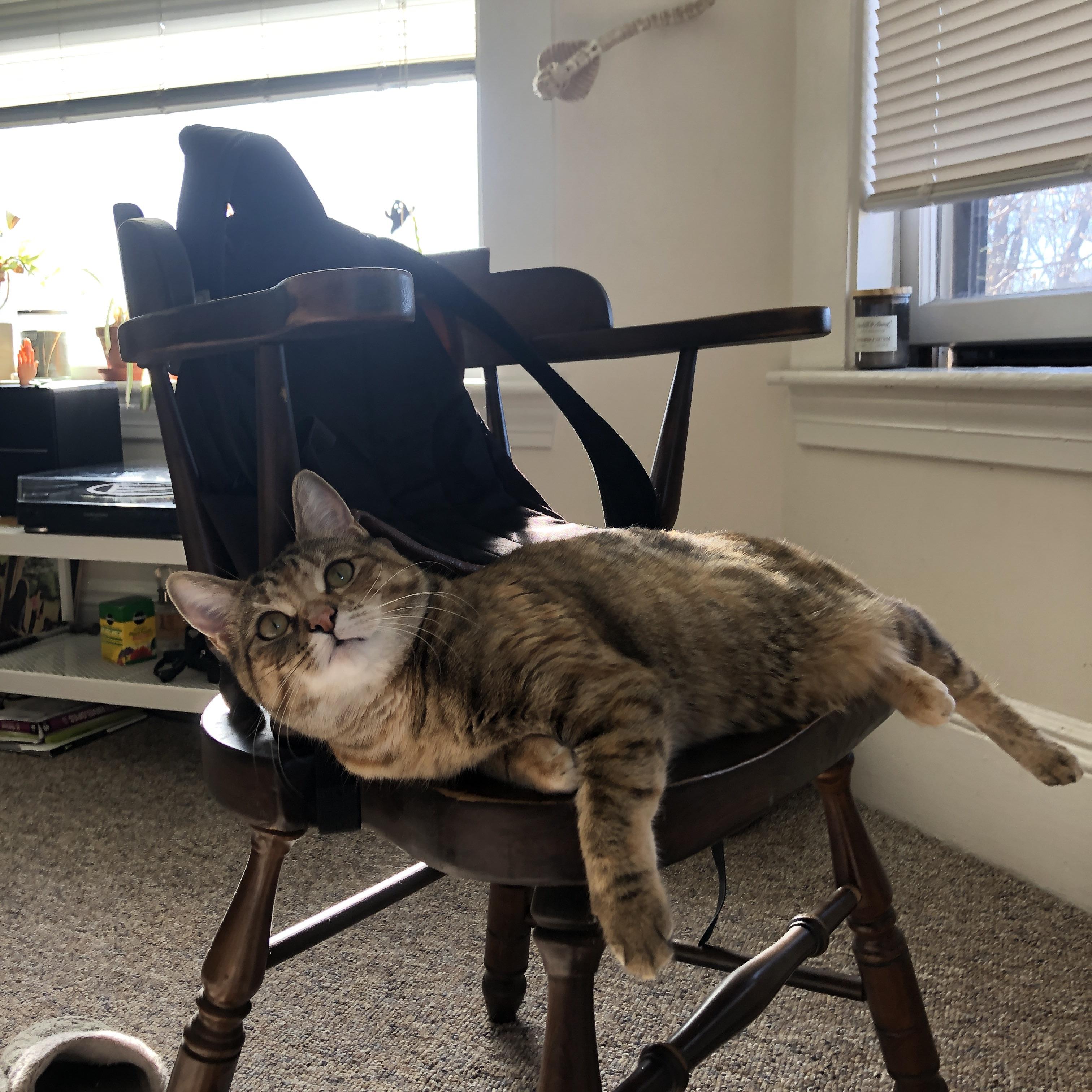 哈登撕掉标签的夜晚，掘金对阵上海，他让眼神防守成为历史传说