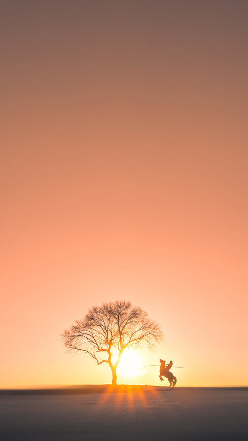 2024年的足球唯一性，当国家德比、苏格兰巅峰与马赛交响曲同奏