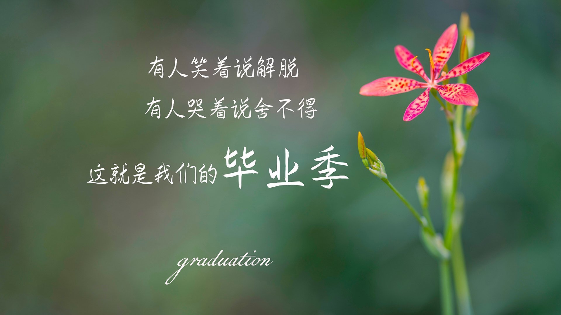 古典的胜利，当巴雷拉用双脚丈量球场，意大利为世界杯留下一曲控制挽歌